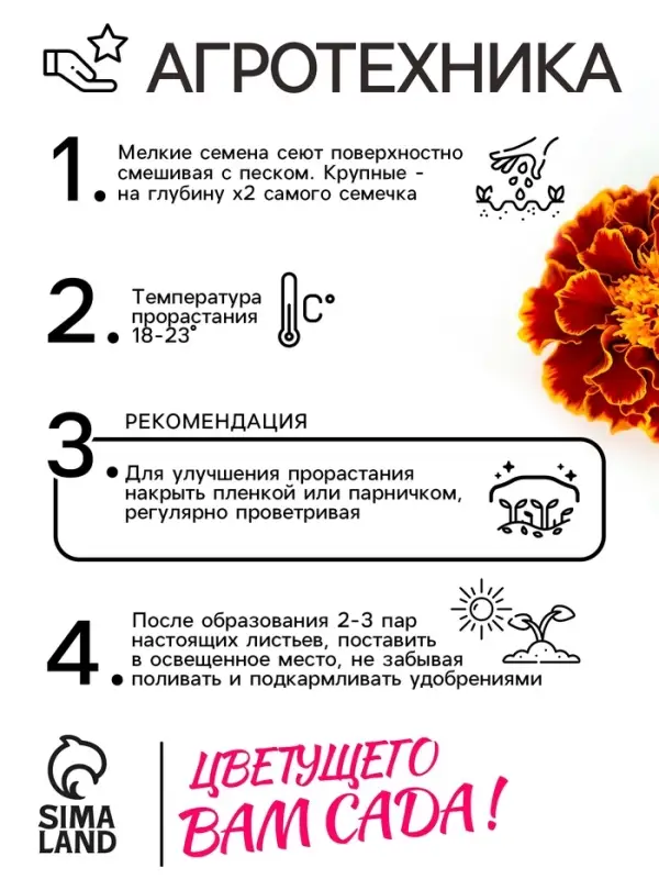 Семена цветов Бархатцы отклонённые "Медок", смесь, 0,3 г