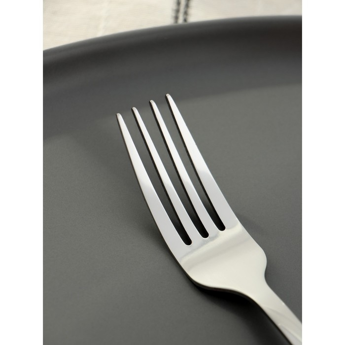 Вилка столовая из нержавеющей стали Доляна «София», длина 18,8 см, толщина 2 мм Вилка столовая из нержавеющей стали Доляна «София», длина 18,8 см, толщина 2 мм