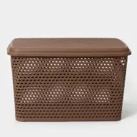 Корзина для хранения &laquo;Ротанг&raquo;, 23 л, 45&times;30&times;26.5 см, с крышкой, коричневая