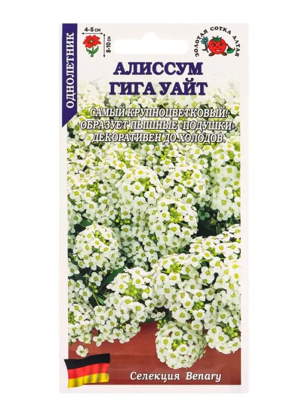 Семена Алиссум Гига Уайт /Сотка/ 0,01 г/*1800 Семена Алиссум Гига Уайт /Сотка/ 0,01 г/*1800