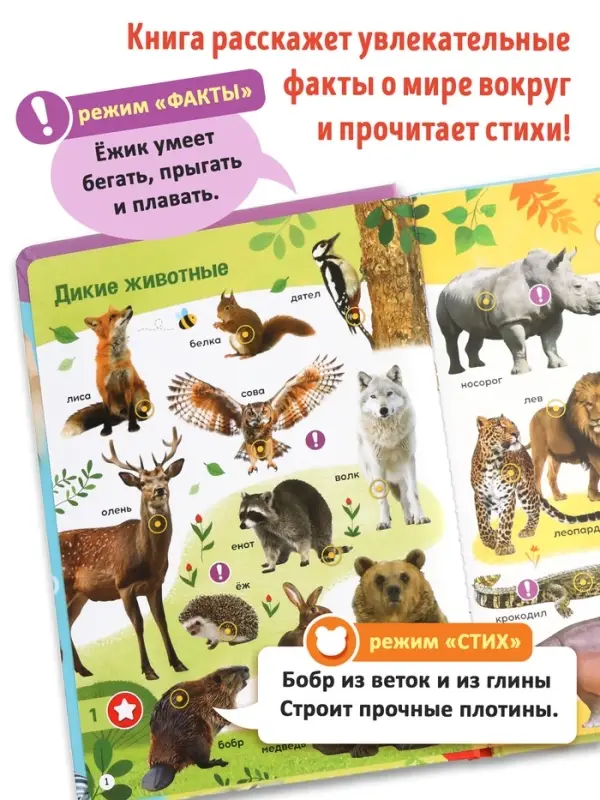 Говорящая книга &laquo;Мир вокруг меня&raquo;