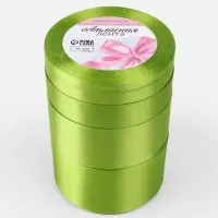 Атласная лента, набор 5 шт., 6/10/20/40/50 мм, 23&plusmn;1 м, светло-зелёная №184