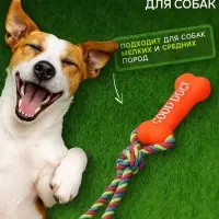 Игрушка для собак &laquo;Кость&raquo;, 14 см, резиновая, с ручкой из каната, до 37 см, цвет МИКС
