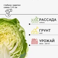 Семена Капуста белокочанная &laquo;Пандион&raquo;, F1, 10 шт., &laquo;Агрос&raquo;