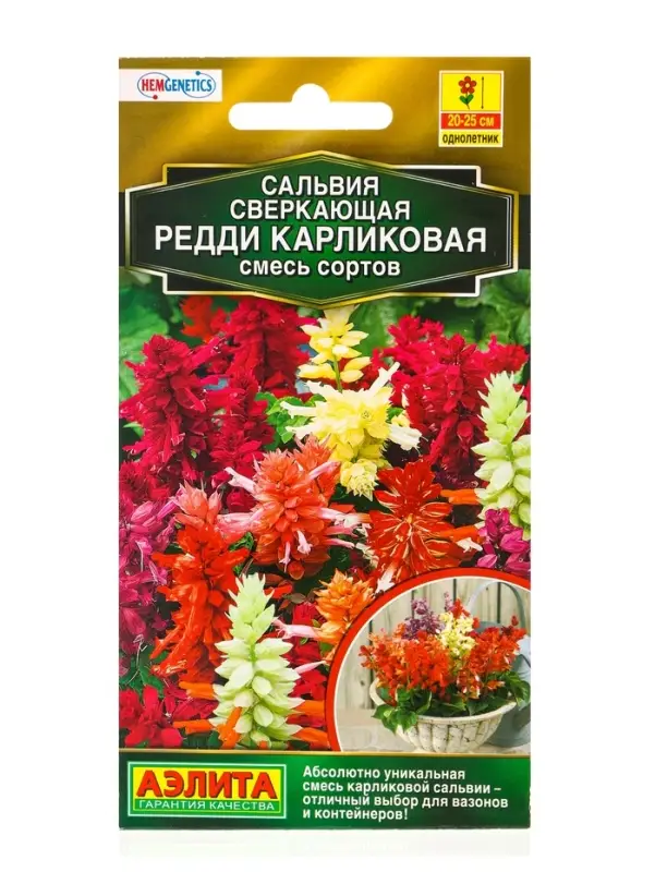 Семена цветов Сальвия Редди карликовая, смесь сортов С. Hem Genetics Золотая серия, Ц/П,7 шт. 10945 Семена цветов Сальвия Редди карликовая, смесь сортов С. Hem Genetics Золотая серия, Ц/П,7 шт. 10945