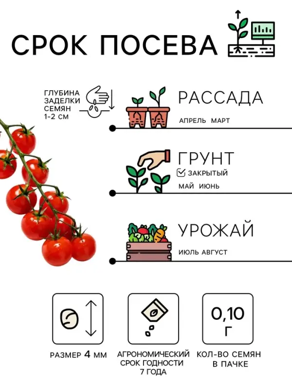 Семена Томат комнатный &laquo;Минибел&raquo;, 0.1 г, &laquo;Рецепты дедушки Никиты&raquo;
