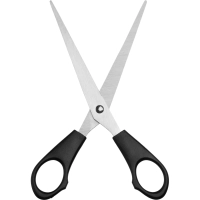 Ножницы Выбор есть 165 мм с пластиковыми ручками, цвет черный