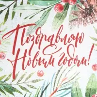 Пакет подарочный новогодний ламинированный &laquo;Магия зимы&raquo;, MS 18 х 23 х 10 см