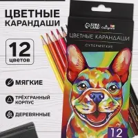 Карандаши Calligrata, 12 цветов, супермягкие, диаметр грифеля 3 мм