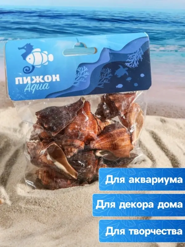 Набор ракушек, 5 - 7 см, 100 г