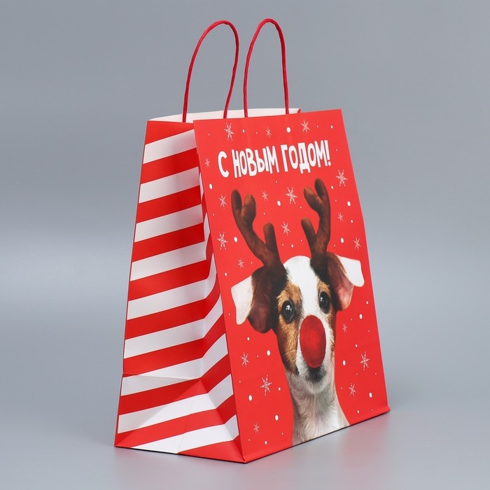 Пакет подарочный новогодний крафтовый «Олень ты», 28 х 32 х 15 см Пакет подарочный новогодний крафтовый «Олень ты», 28 х 32 х 15 см