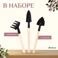 Набор садового инструмента для комнатных растений, 3 предмета: грабли, 2 лопатки, длина 24 см, деревянные ручки, Greengo
