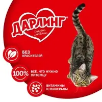 Влажный корм DARLING для кошек, говядина в подливе, 75 г
