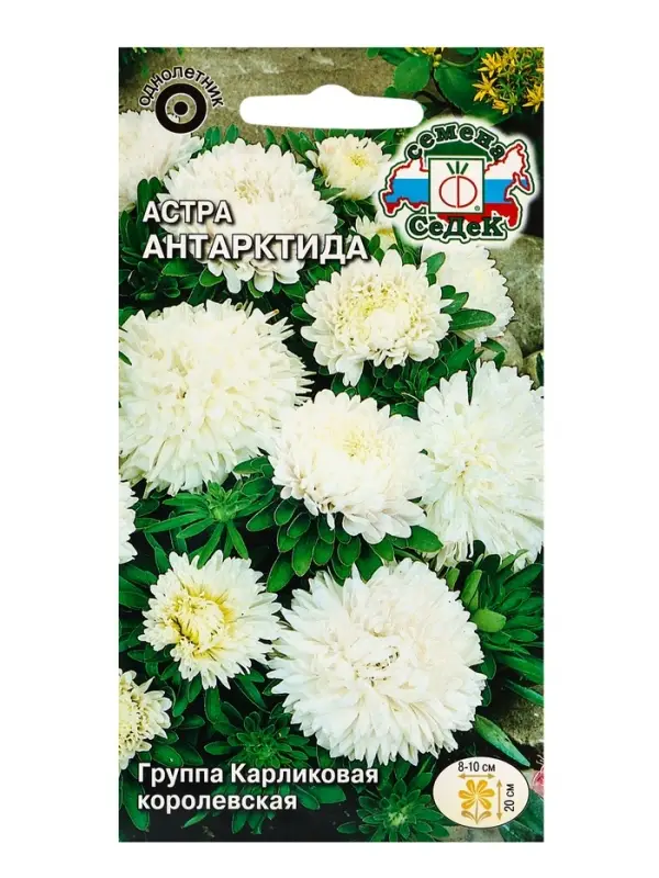 Семена Цветов Астра  Семена Цветов Астра "Антарктида "0.2 г