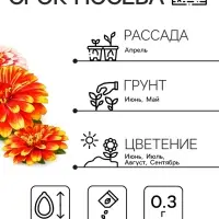 Семена цветов Цинния &laquo;Карусель&raquo;, смесь 0.3 г, &laquo;Рецепты дедушки Никиты&raquo;