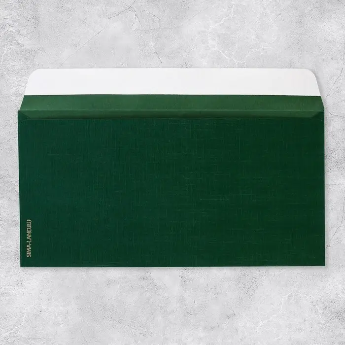 Подарочный конверт «Поздравляем», тиснение, дизайнерская бумага, 22×11 см Подарочный конверт «Поздравляем», тиснение, дизайнерская бумага, 22×11 см