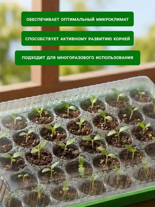 Мини-парник для рассады, 57&times;36&times;13.5 см, 1 вставка, 40 ячеек, Greengo