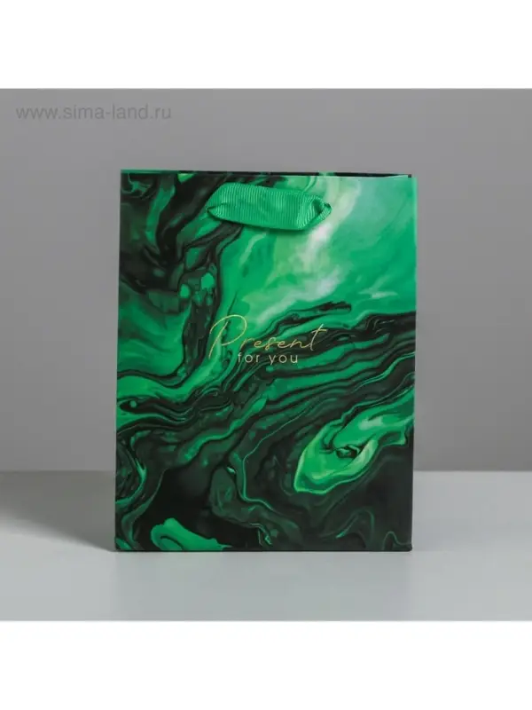 Пакет подарочный ламинированный, упаковка, &laquo;Present for you&raquo;, S 12&times;15&times;5.5 см