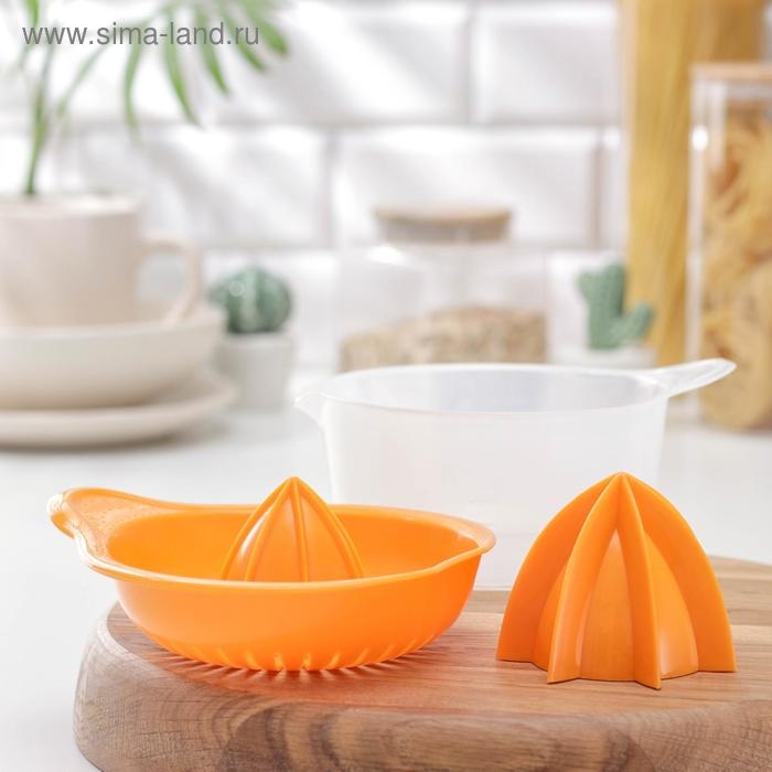 Соковыжималка для цитрусовых «Мадена», 300 мл, цвет МИКС Соковыжималка для цитрусовых «Мадена», 300 мл, цвет МИКС