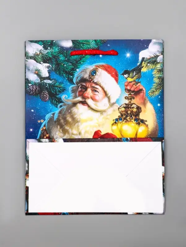 Пакет подарочный новогодний ламинированный, «Дед Мороз» , 18×10×22.3 см Пакет подарочный новогодний ламинированный, «Дед Мороз» , 18×10×22.3 см