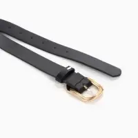 Ремень женский, 2.7&times;105 см, 1 прокол, золотистая пряжка, чёрный