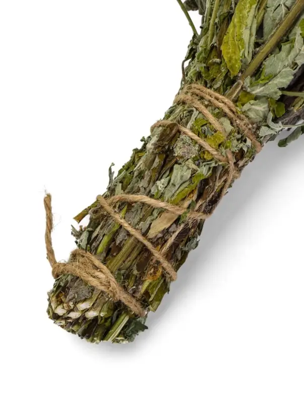 Веник для бани, мята, 45 (&plusmn; 5 см), &laquo;Добропаровъ&raquo;