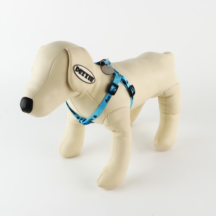 Комплект «Дай пять!», шлейка 26-39 см, поводок 120х1 см, медальон Комплект «Дай пять!», шлейка 26-39 см, поводок 120х1 см, медальон