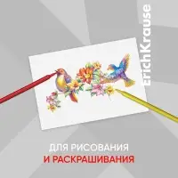 Фломастеры 12 цветов ErichKrause Basic, на водной основ, вентилируемый колпачок