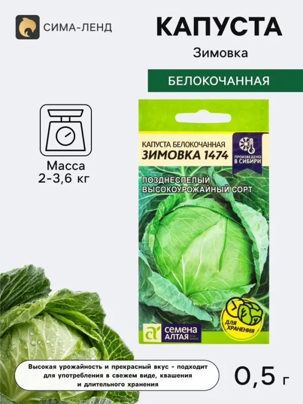 Семена Капуста &laquo;Зимовка 1474&raquo;, 0.5 г, &laquo;Семена Алтая&raquo;