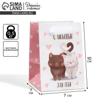 Пакет подарочный ламинированный, упаковка, «Котики», 7×10×7 см Пакет подарочный ламинированный, упаковка, «Котики», 7×10×7 см