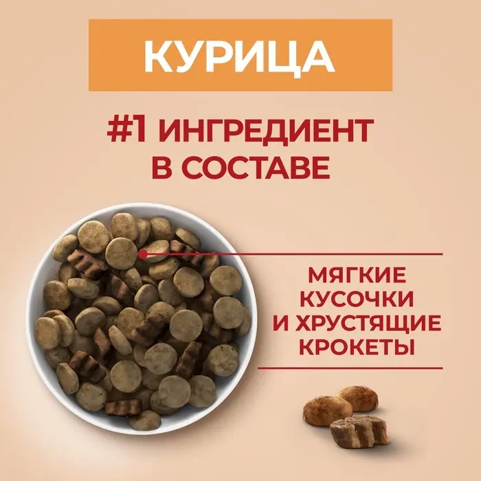 Сухой корм Purina One medium/maxi для взрослых собак, курица/рис, 10 кг Сухой корм Purina One medium/maxi для взрослых собак, курица/рис, 10 кг