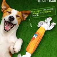 Игрушка на канате &laquo;Кукуруза&raquo; для собак, 30 см, кукуруза 14 см, жёлтая
