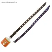 Ошейник кожаный на синтепоне, безразмерный, 37&times;1.5 см, ОШ 21-31 см, синий