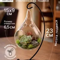 Флорариум &laquo;Груша&raquo;, на подвесе, 23&times;15&times;9 см, стекло, прозрачный