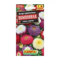 Семена Астра Помпонная, смесь окрасок , 0,2г Семена Астра Помпонная, смесь окрасок , 0,2г