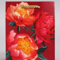 Пакет подарочный ламинированный &laquo;Яркий акцент&raquo;, 11.5&times;14.5&times;6.5 см