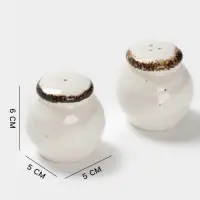 Набор для специй Magistro Alpine Frost, 2 предмета: перечница, солонка, 80 мл, 5&times;6 см, фарфор, белый