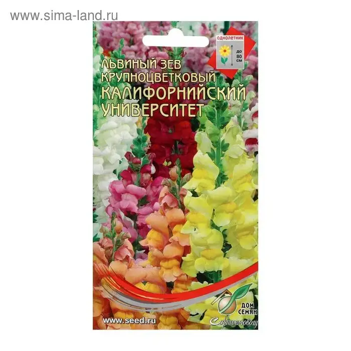 Семена цветов  Львиный зев  Семена цветов  Львиный зев "Калифорнийский Университет", 400 шт