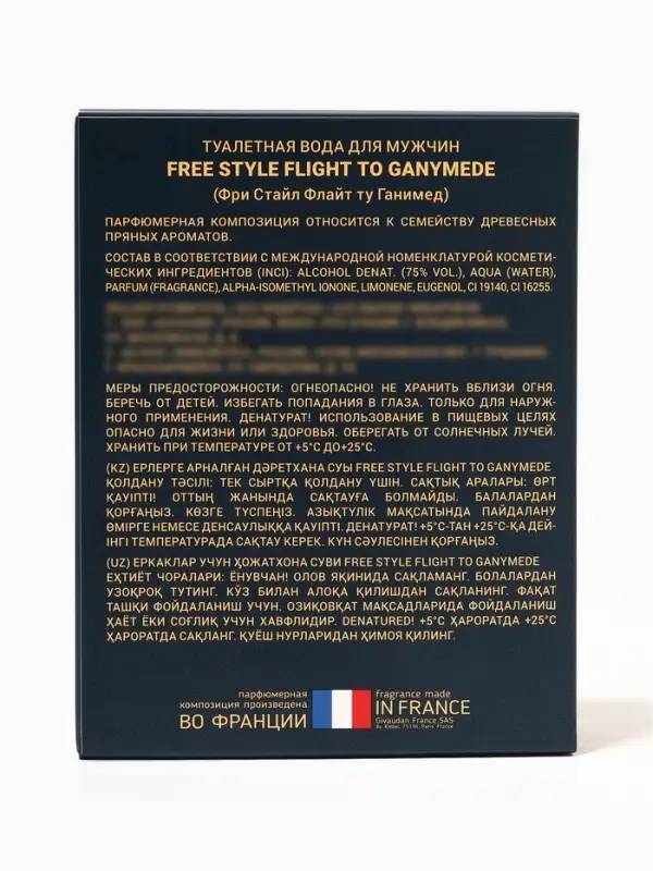 Туалетная вода мужская Free Style Flight to Ganymede, 100 мл