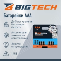 Батарейка BigTech Professional ААA/LR03 уп/12шт