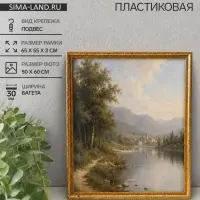 Рама для картин и зеркал Estelle Classic, 50&times;60 см, пластик, золото