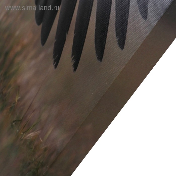 Картина-холст на подрамнике Картина-холст на подрамнике "Перед прыжком" 60х100 см