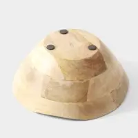 Салатник &laquo;Лимоны&raquo;, 23&times;23&times;10.5 см, дерево манго