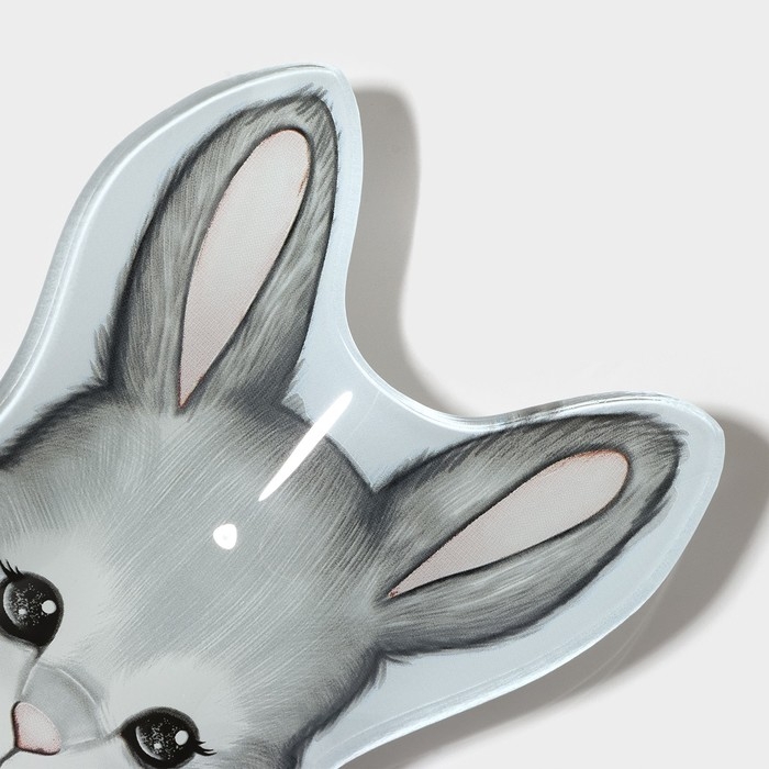 Блюдо стеклянное сервировочное Доляна «Пасхальный кролик», 21×13,5×1,8 см Блюдо стеклянное сервировочное Доляна «Пасхальный кролик», 21×13,5×1,8 см