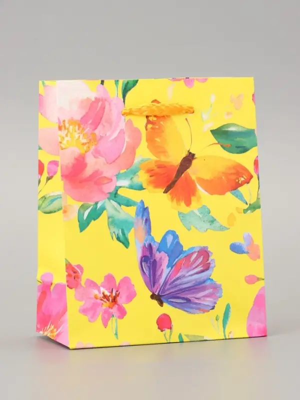 Пакет подарочный ламинированный «Мечта» 11.5×14.5×6.5 см Пакет подарочный ламинированный «Мечта» 11.5×14.5×6.5 см