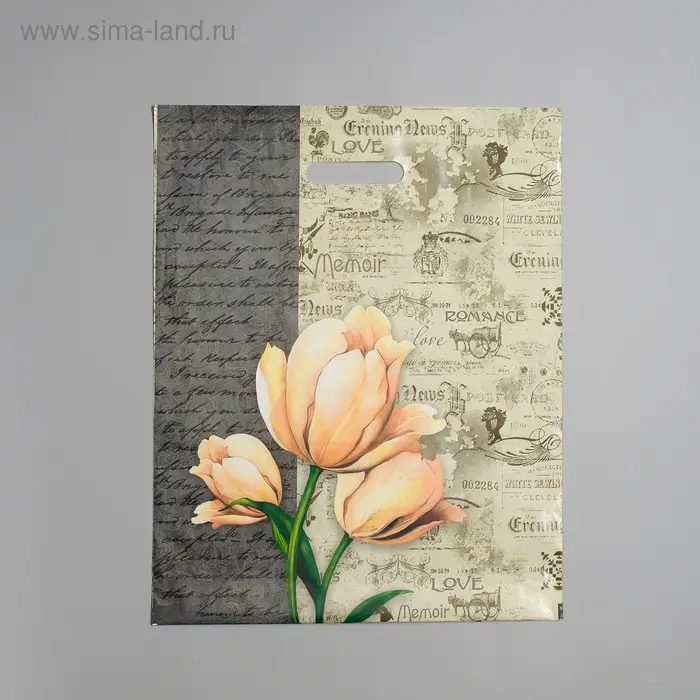 Пакет Пакет "Мемуары", полиэтиленовый, с вырубной ручкой, 38 х 47 см, 60 мкм