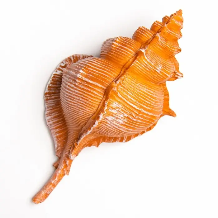 Фигурка полистоун &laquo;Ракушка&raquo;, 23&times;11&times;10 см