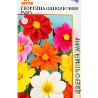 Семена Георгина Радуга 0,2 г Семена Георгина Радуга 0,2 г