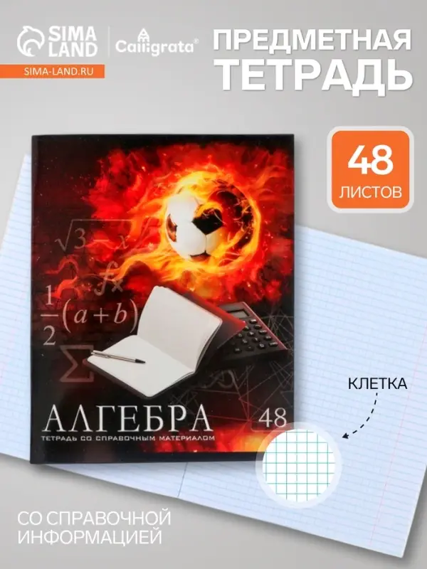Предметная тетрадь по алгебре Calligrata &laquo;Футбол&raquo;, 48 листов, в клетку, со справочным материалом, обложка из мелованного картона