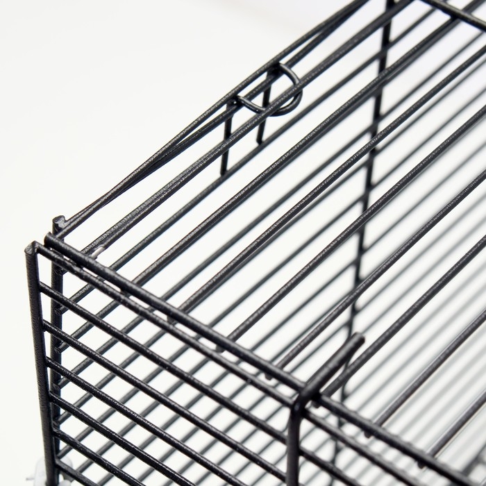 Клетка для грызунов Клетка для грызунов "Пижон" №5, с 3 этажами, укомплектованная, 41 х 30 х 58 см, бирюзовая